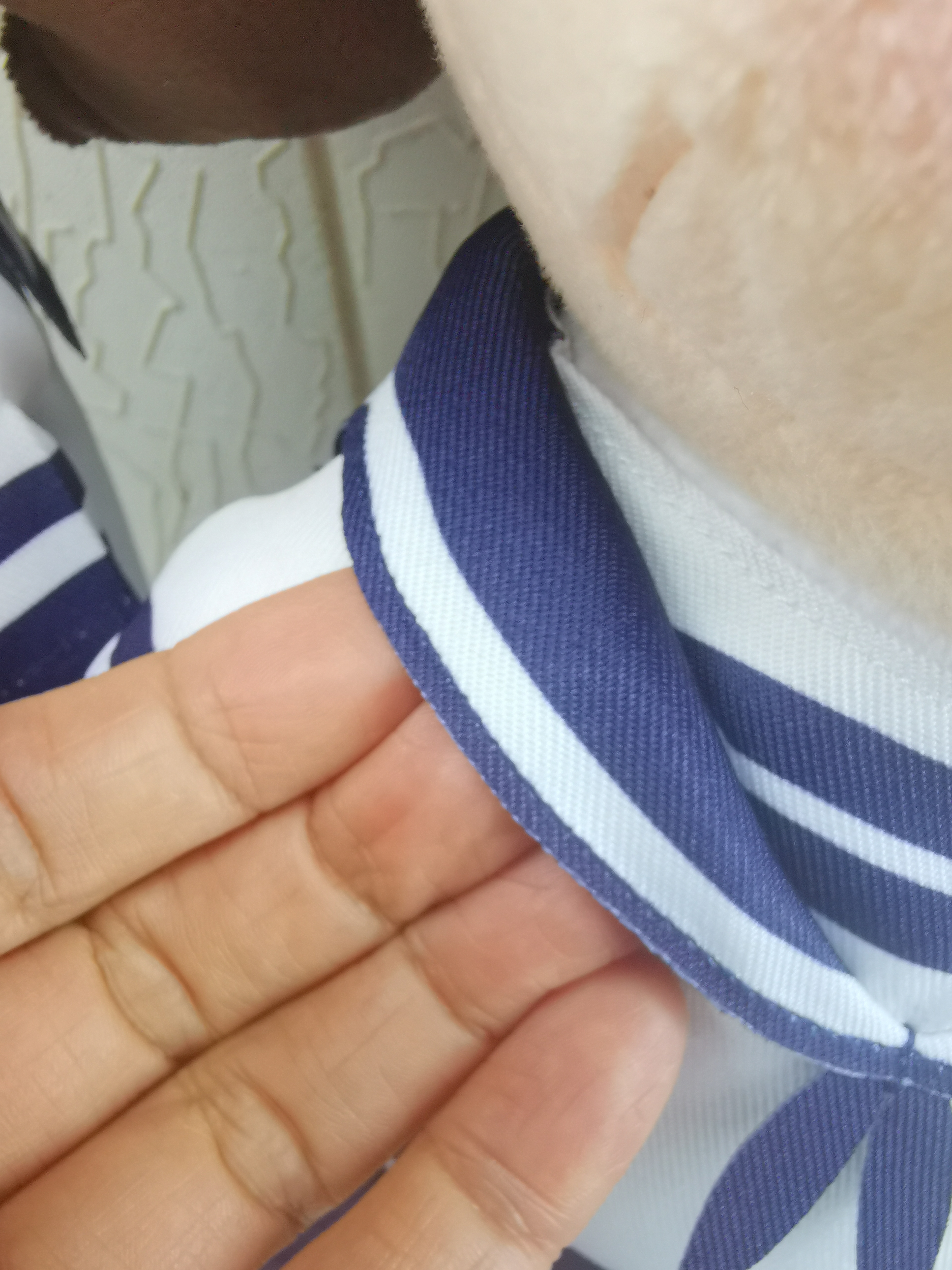 約克中英文幼稚園 產品照片（18/39）