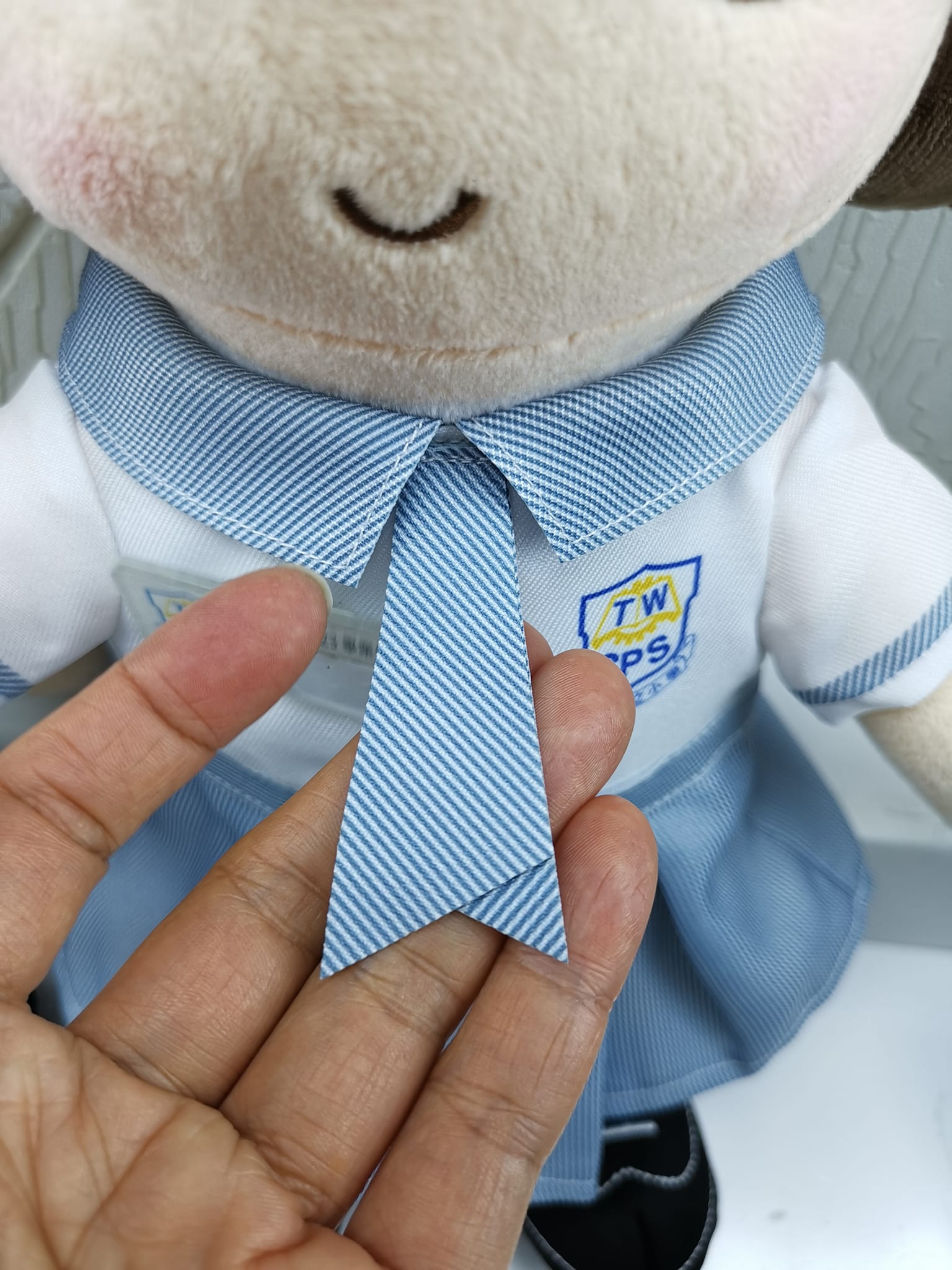 荃灣官立小學 產品照片（15/18）
